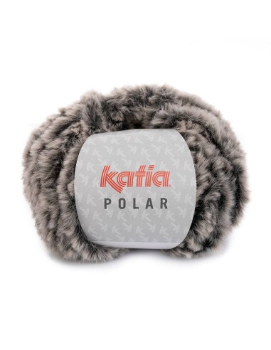 Polar de Katia